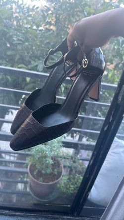 j.crew dark brown