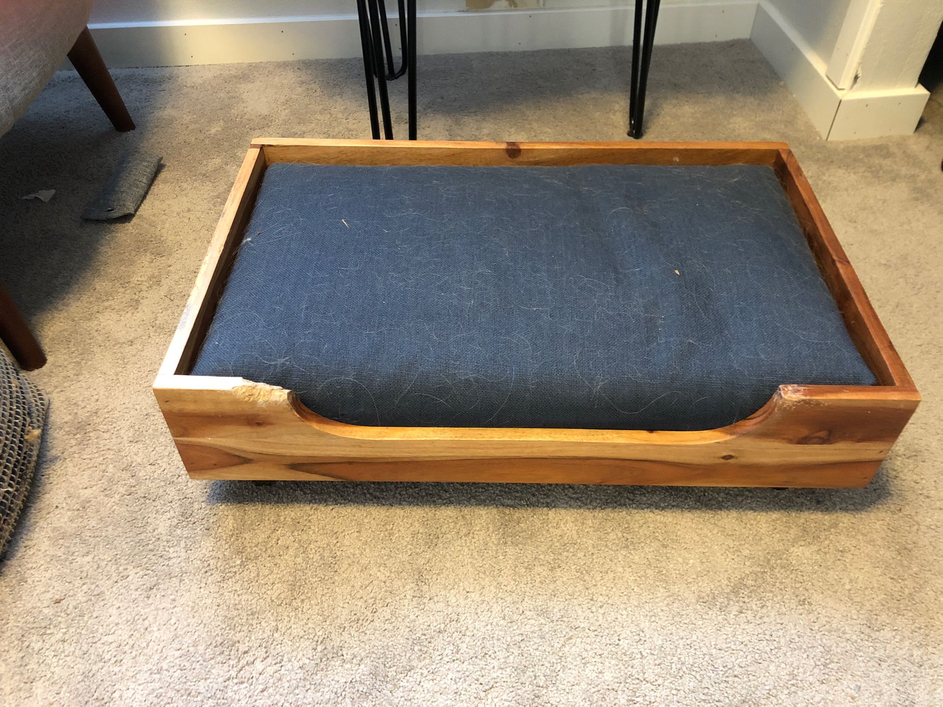 Modern Wood Framed Pet Bed