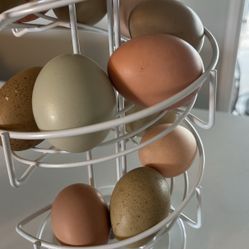 Farm Fresh Eggs $8 Per Dozen Cage Free