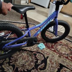 16" Kids Trek Bycicle 