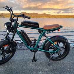 Engwe M20 Electric Bike 