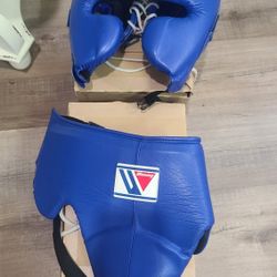 Winning Boxing 