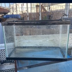 50 And 10 Gallon Aquarium/Fish tank/Terrarium 50”L X 12.5W X 21H