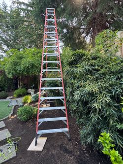 16’ Sturdy Ladder