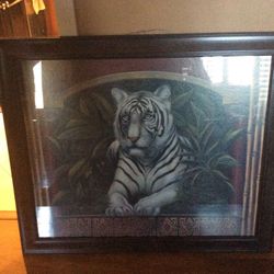 Tiger picture