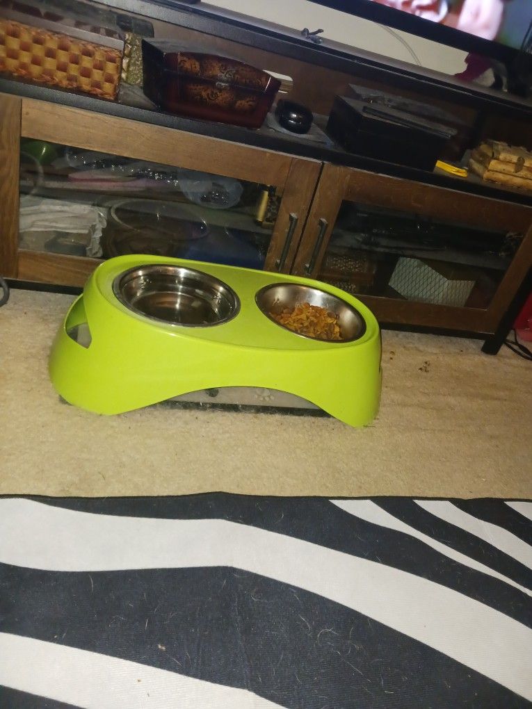 Ex Larg Dog Food Stand 10 Firm Look My Post Tons Items