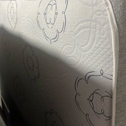 Queen Size Mattress And Box 