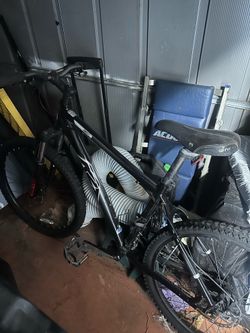 Bike Brad name