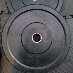 25lbs Bumper Weights