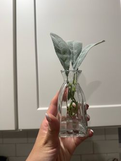 Mini glass vases set of 3 with stems