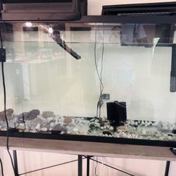 75 Gallons Fish Tank With Oxygen 