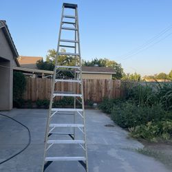Werner Ladder