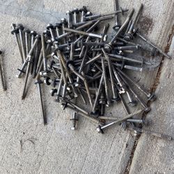 Lag Bolts Stainless 4” (80) $35