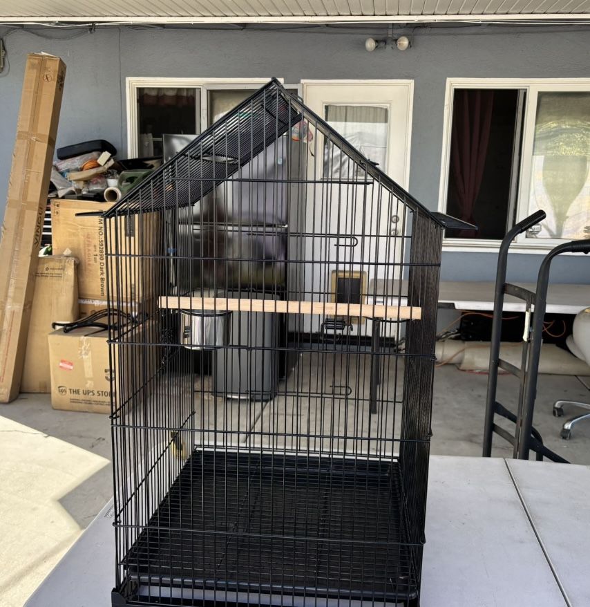 Black Bird Cage