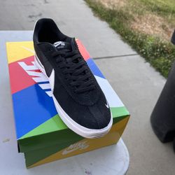 Nike Sb