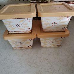 Team Tations  Ramekin Dishes W Lids X4. Like New