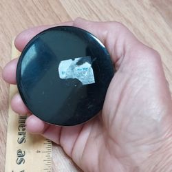 REAL Scorpion Paperweight -plastic