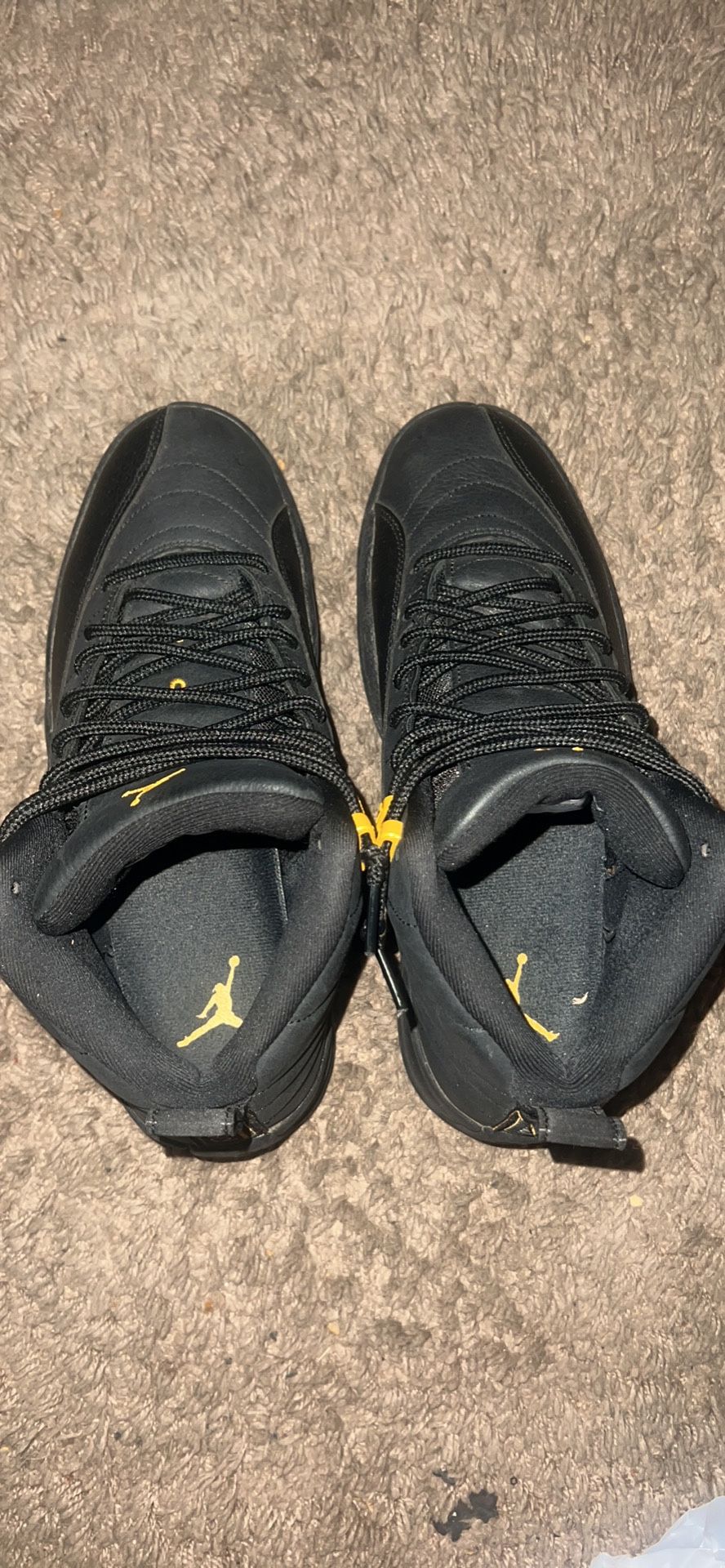Jordan Retro 12