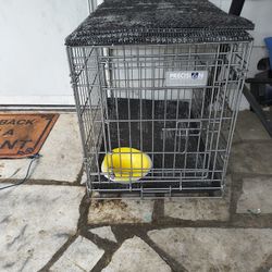Small Dog Kennel