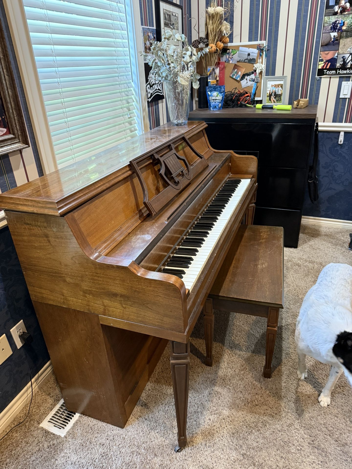 Piano
