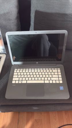 Laptops no chargers they did turn on