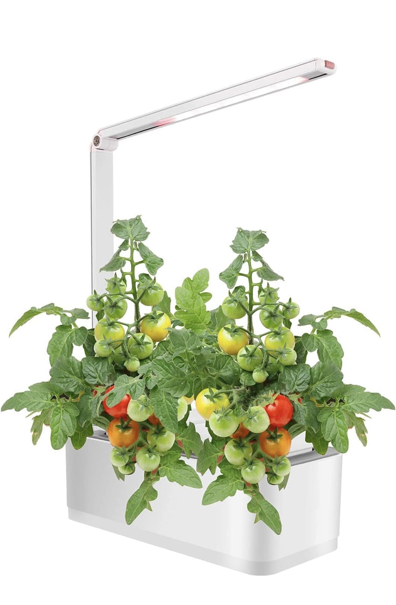 Hydroponics Growing System Kit, Indoor Herb Garden with Grow Light Hydroponic Herb Garden