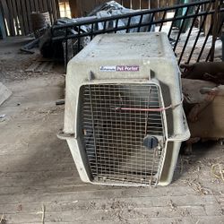 Dog Crate, Large