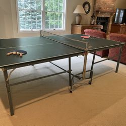 Ping Pong Table