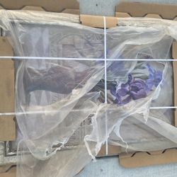 paintings 