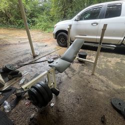 Bench + Leg press 