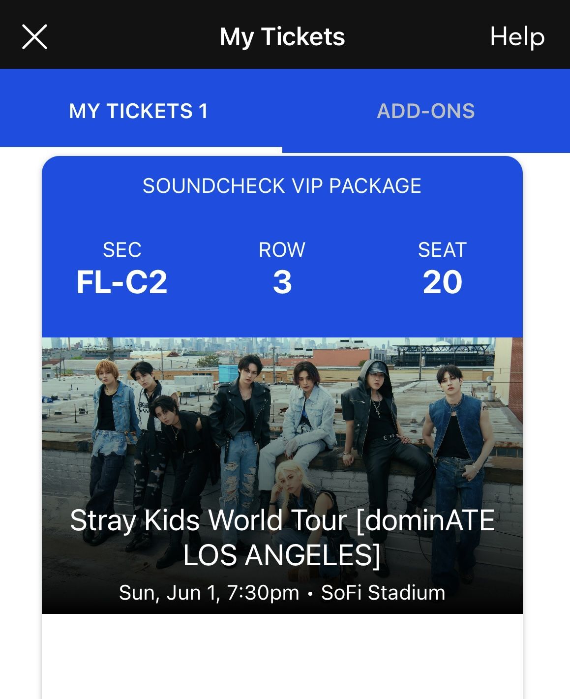 StrayKids VIP