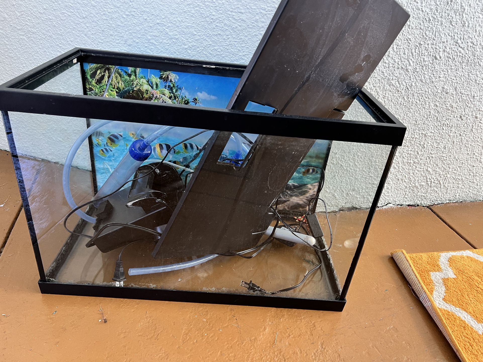 20gal Fish Tank