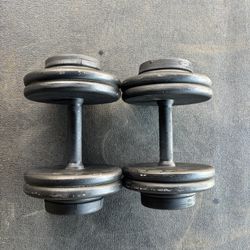 50lbs Dumbbells Weights Pair Set 