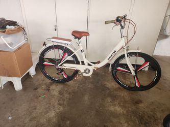 Pigeon City Cruiser Bicycle