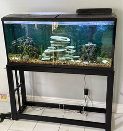 50 Gal Fish Tank w/ Stand (Fish Not Included)