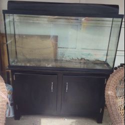 55 Gallon Fish Tank