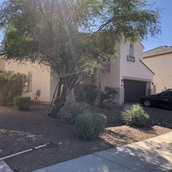 Tree trimming For Sale! 