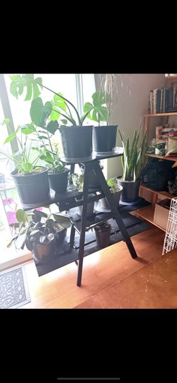 Plant Stand 