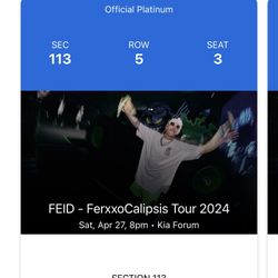 FEID CONCERT 2024 ($90 Each)