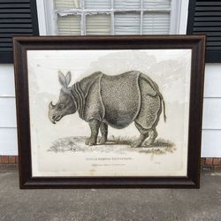 Antique Rhino Extra Large Wall Art Framed Print fron Rooms To Go 50”x40”