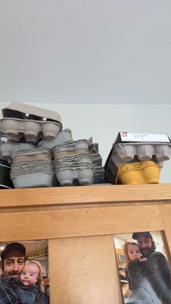 Free egg cartons