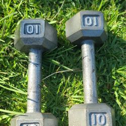 Cadt Iron Dumbell Set . / 10 Lb. Pair 