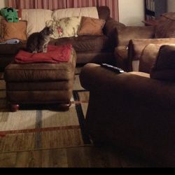 Free Couch Set 