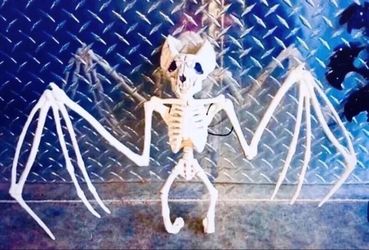 Bat White Sleketon Skull Halloween Home Indoor Outdoor Decoration Ornaments