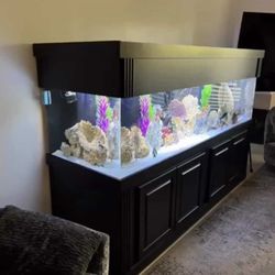 300 gallong aquarium