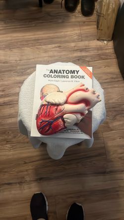 DENOYER- GEPPERT HEART Model And Anatomy Coloring Book 