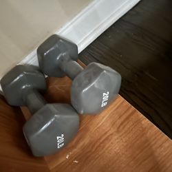 Dumbbells Set Of 2