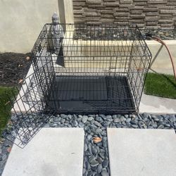 Medium Sized Dog Kennel