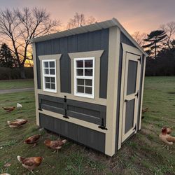 🐓 Don’t Let Your Chickens Live in a Shack - Call Shed Gal!