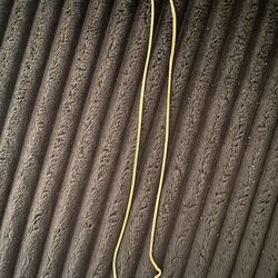 GOLD Franco chain 10k gold